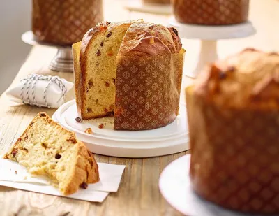 Tegral Panettone Artigianale