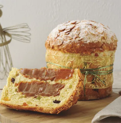 Tegral Panettone Madre 
