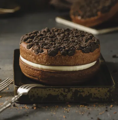 Tegral Soft'r Panettone Chocolate