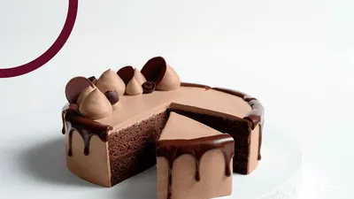 Bolo de Chocolate Sustentável Certificado Cacao-Trace