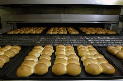 Tegral Pão de Batata